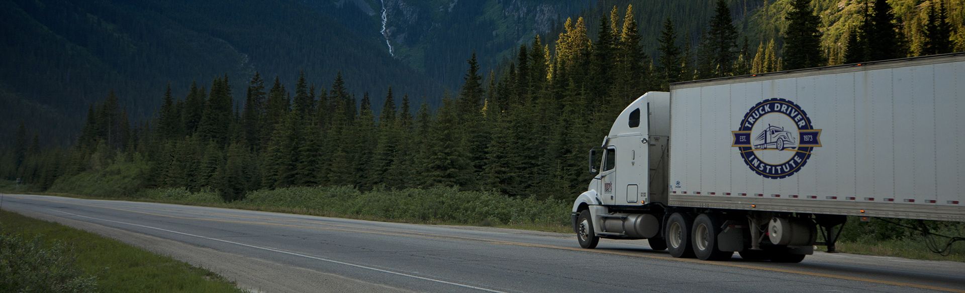 TDI truck drives on forest highway